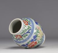 China - Doucai vase decorated with dogs and flowers, Kangxi period (1661-1722)