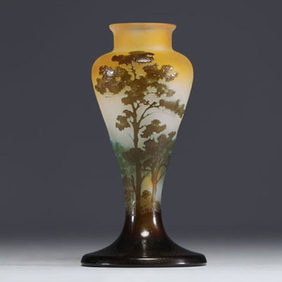 Émile GALLÉ (1846-1904) Vase en verre multicouche dégagé à l'acide au décor lacustre, signé.