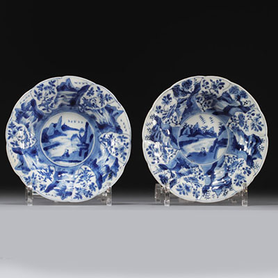 China - A pair of blue-white porcelain plates with floral decoration, Kangxi period.