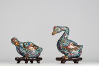 Chine - Paire de Canards brûle-parfum en bronze et émaux cloisonnés, XIX-XXe siècle.