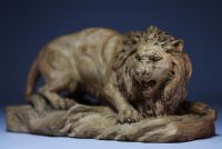 P. HUYGENS ‘Lion belge, Atelier d'art Bruxelles’ Terracotta sculpture, late 19th century.