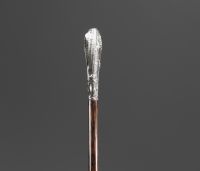 Art Nouveau silver cane with a mould and seaweed motif.