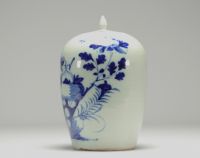 China - A blue-white porcelain ginger pot with floral decoration, 19th century.