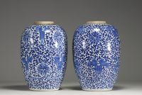 China - Pair of blue-white porcelain potiches with floral decoration, Qing period.