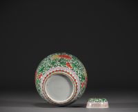 Chine - Pot couvert à gingembre en porcelaine à décor de chimères.