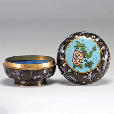 A beautiful cloisonné enamel box decorated with a cricket on a flower from the 19th century from Meiji period (明治時代)