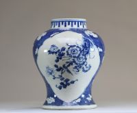 China - White and blue porcelain jug with cartouche decoration of prunus flowers, double-circle mark.