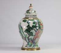 China - green family covered vase from Qing period (1644-1912)