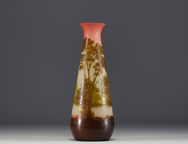 Émile GALLÉ (1846-1904) Vase en verre multicouche dégagé à l'acide à décor lacustre, signé.