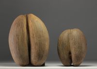 Pair of buttocks Cocco