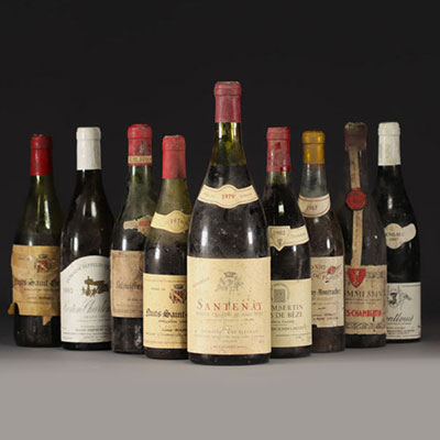 Set of 8 bottles of Burgundy wine and 1 bottle of Loire wine.