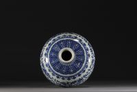 China - A blue and white Meiping vase with floral and banana leaf decoration, Qing period.