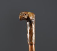 Carved wooden cane with parrot head motif, glass eyes.