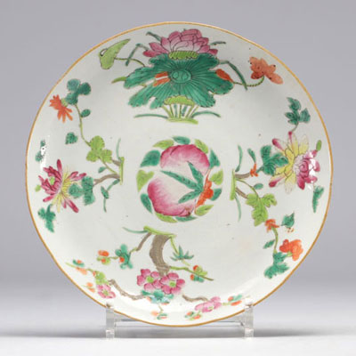 Rose Family porcelain plate decorated with various flowers on a white background from the 19th century