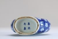 China - White-blue porcelain vase with dragon decoration, Kangxi.