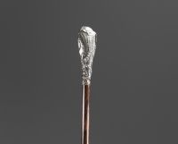 Art Nouveau silver cane with a mould and seaweed motif.
