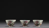 China - Set of eleven bowls of different sizes in famille rose porcelain, 19th century.