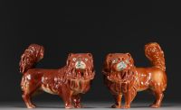 China - Pair of pekinese in fawn-colored porcelain.