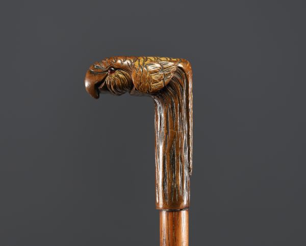 Canne en bois sculpté à motif de tête de perroquet, yeux en verre.