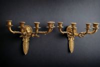 A pair of Empire style ormolu sconces decorated with palmettes and lion heads.