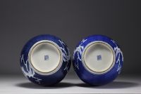 China - Pair of blue-white porcelain vases with prunus decoration, late 19th century.