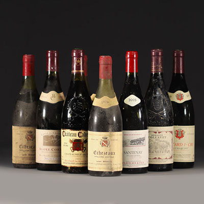 Lot of 10 bottles of various Burgundy and Châteauneuf du Pape wines.