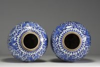 China - Pair of blue-white porcelain potiches with floral decoration, Qing period.