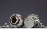 China, pair of covered vases in green family porcelain, Nanjing, late 19th century