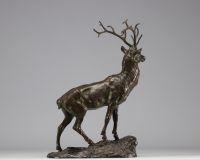 Pierre-Jules MÈNE (1810-1879) Bronze stag with brown and green patina, signed.