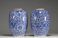 China - Pair of blue-white porcelain potiches with floral decoration, Qing period.