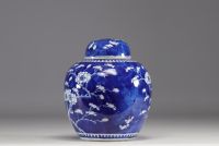 China - Blue-white porcelain ginger pot, four-character blue mark, 19th century.