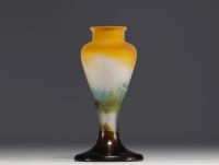 Émile GALLÉ (1846-1904) Vase en verre multicouche dégagé à l'acide au décor lacustre, signé.