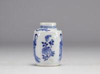 A small white and blue vase decorated with flowers and women in traditional dress from the Kangxi period (1661-1722) with a mark under the piece