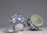 China - A pair of Famille Rose porcelain terrines with floral decoration.