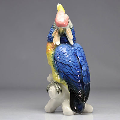 Manufacture porcelaine Karl ENS - SAXE large parrot in several colours