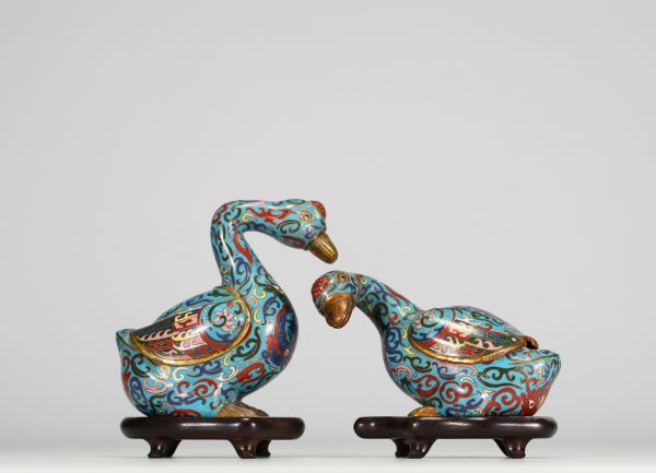 Chine - Paire de Canards brûle-parfum en bronze et émaux cloisonnés, XIX-XXe siècle.