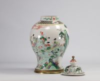 China - green family covered vase from Qing period (1644-1912)