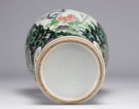 Vase en porcelaine de la Famille Verte avec un décor en cartouches de l'époque Qing (清朝)