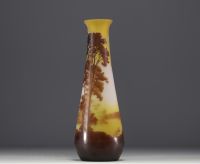 Émile GALLÉ (1846-1904) Vase en verre multicouche dégagé à l'acide à décor lacustre, signé.