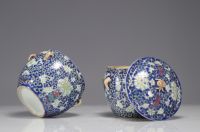 China - A pair of Famille Rose porcelain terrines with floral decoration.