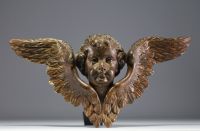 An 18th century carved wooden cherub with open wings.