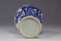 Chinese porcelain vase with blue bird design, Qing period