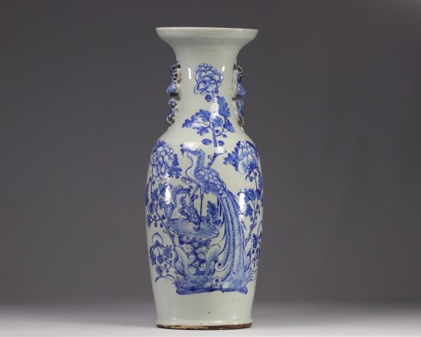 Vase en porcelaine de chine à décor de phénix sur un fond céladon du XIXe siècle