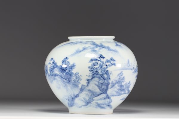 Japon - Vase en porcelaine blanc bleu à décor de paysage, époque Meiji.