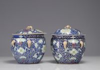 China - A pair of Famille Rose porcelain terrines with floral decoration.