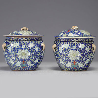 China - A pair of Famille Rose porcelain terrines with floral decoration.