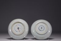 China - Pair of blue-white porcelain plates Kangxi mark and period