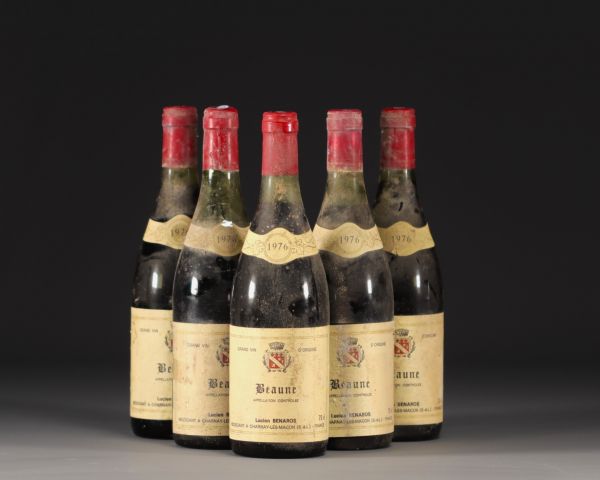 Lot de 5 bouteilles de vin 