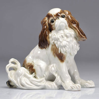 Porcelaine de Saxe Karl ENS  - chien SAXE Cavalier King Charles