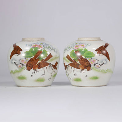 (2) Pair of famille rose pots decorated with brown birds, flowers and calligraphy on a white background